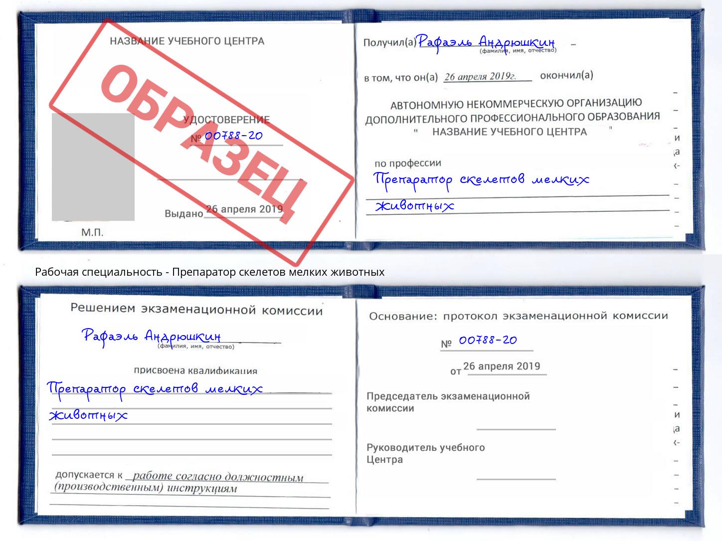 Препаратор скелетов мелких животных Севастополь