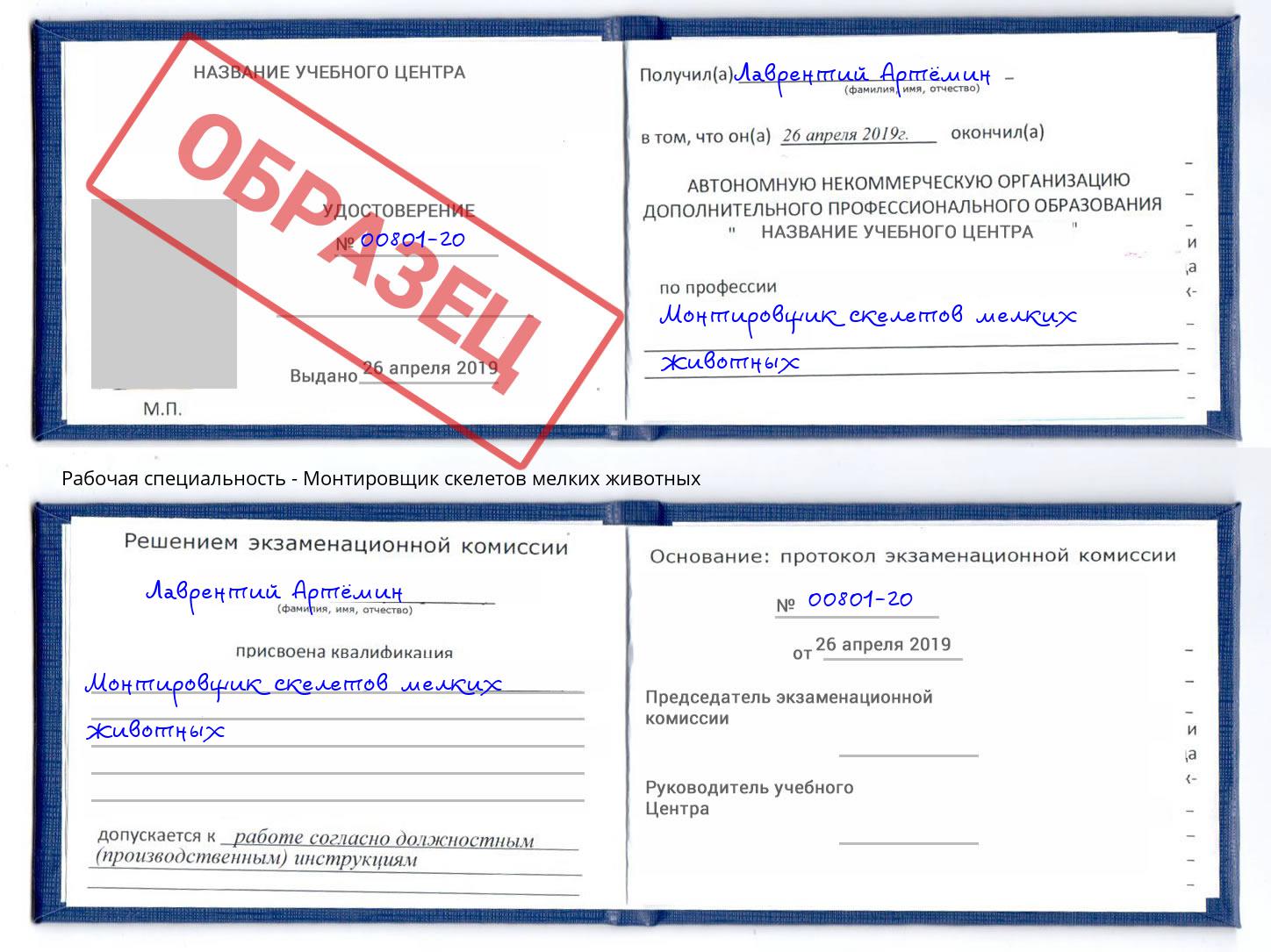 Монтировщик скелетов мелких животных Севастополь