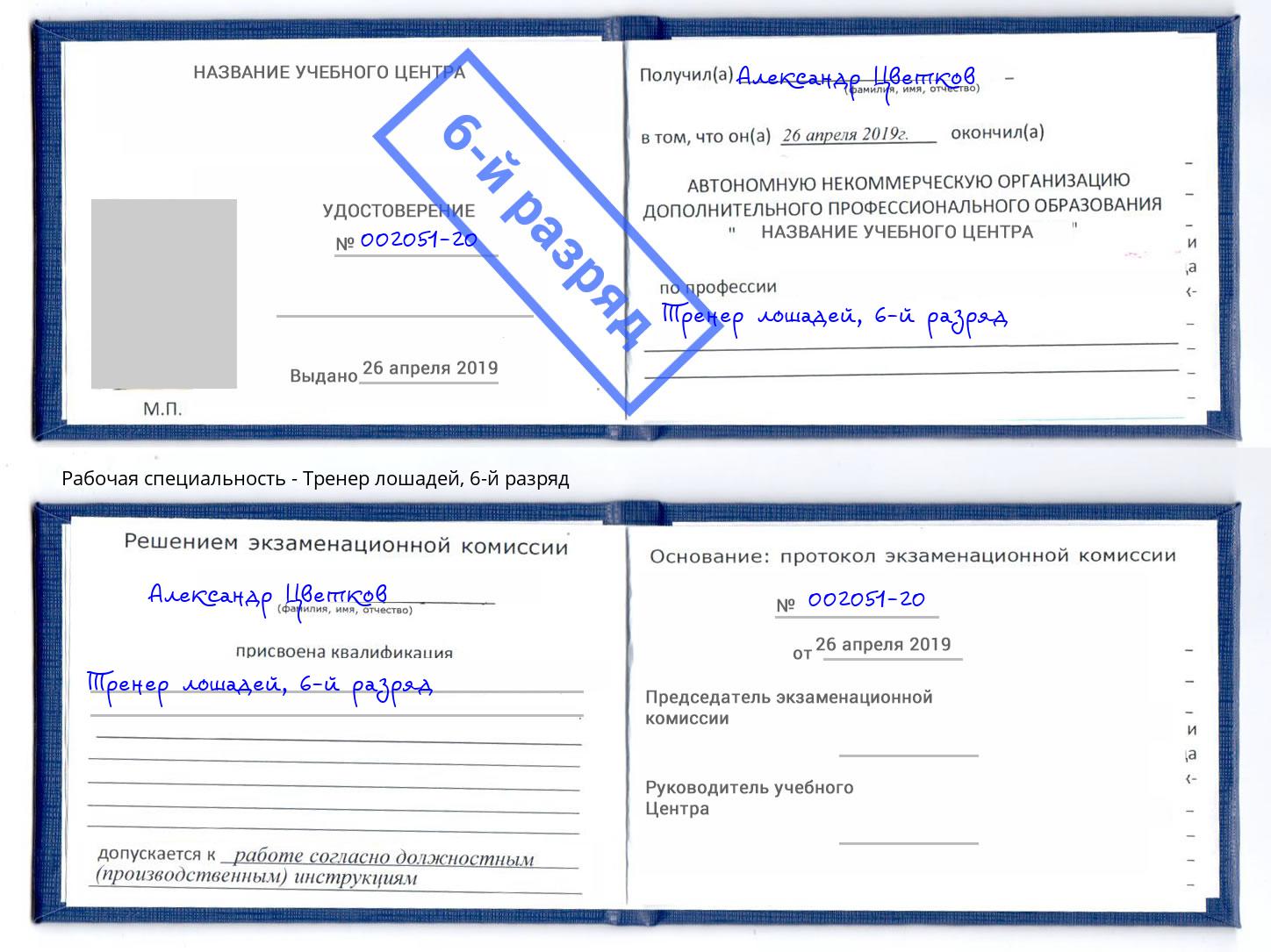 корочка 6-й разряд Тренер лошадей Севастополь