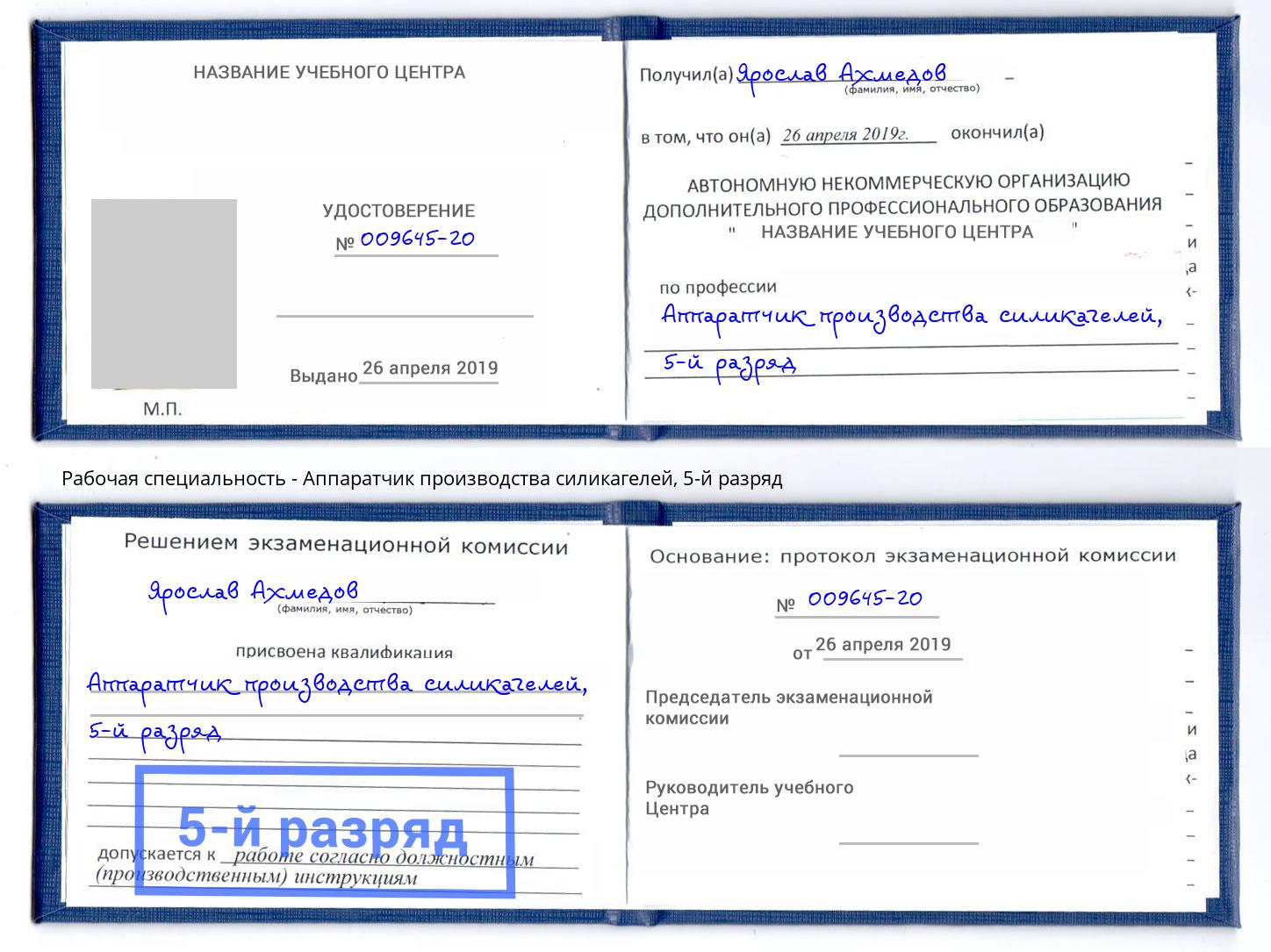 корочка 5-й разряд Аппаратчик производства силикагелей Севастополь