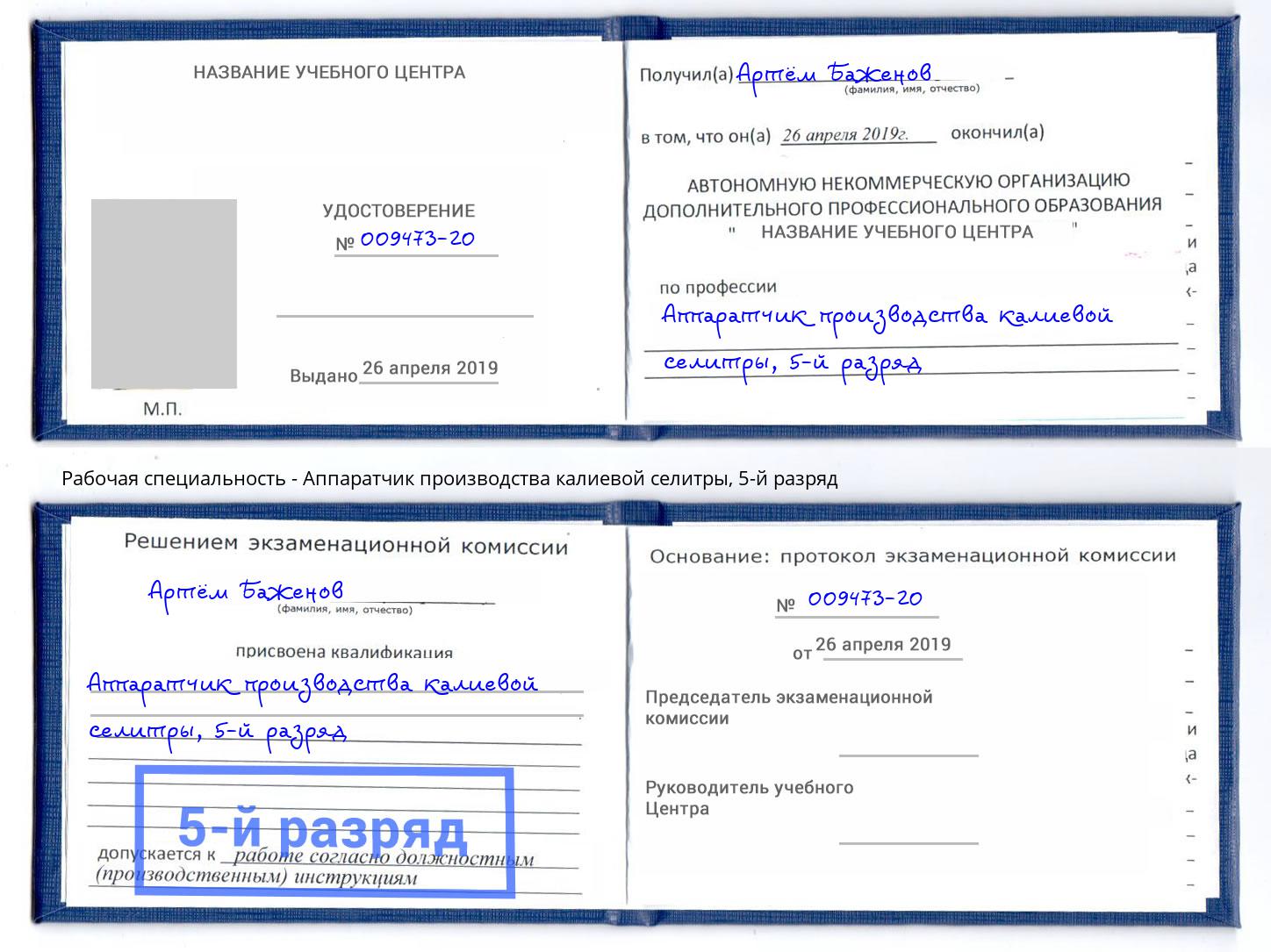 корочка 5-й разряд Аппаратчик производства калиевой селитры Севастополь
